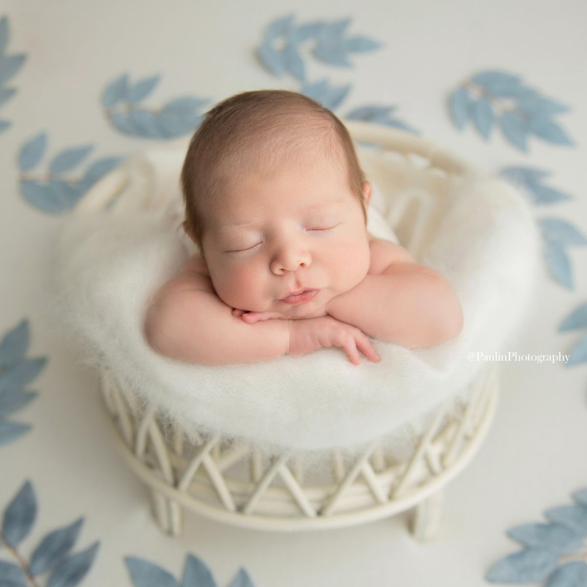 Timeless newborn portrait in Germantown TN