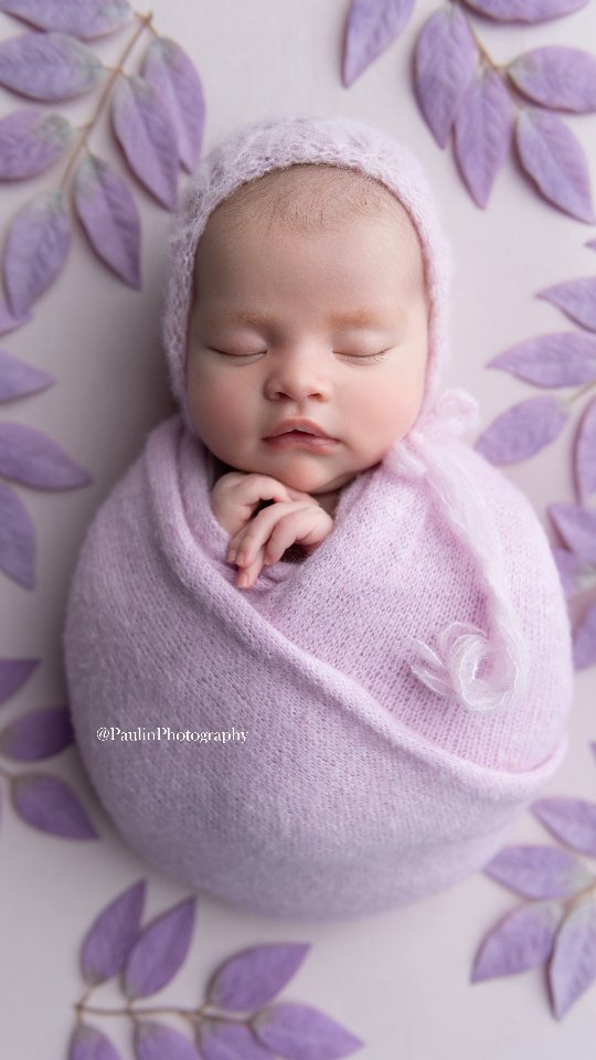 Timeless newborn family portrait styling ideas
